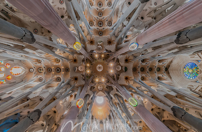 Interior ceiling view of Sagrada Família showing branching stone columns and vaulted architecture